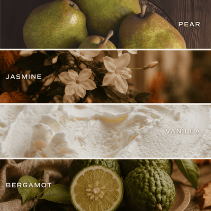 Favorite Sweater fragrance notes: pear, jasmine, vanilla, and bergamot.