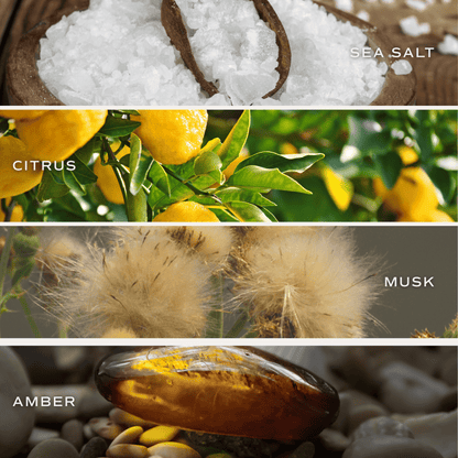 Salt and Sea fragrance notes: sea salt, citrus, musk, and amber.